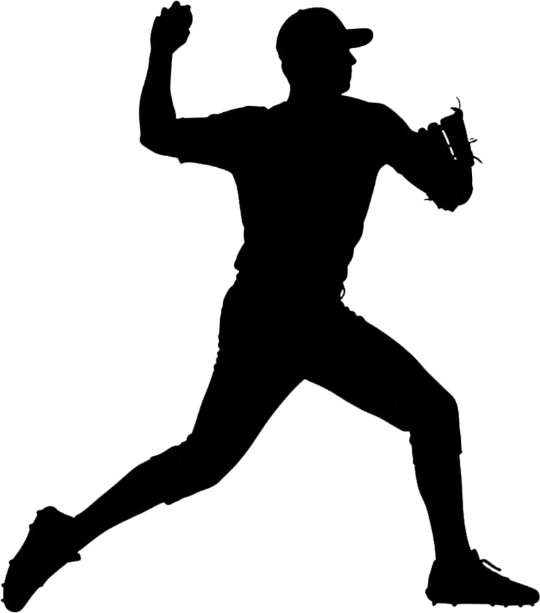 Senior Division (league ages 15–16) illustration