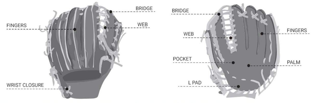 Baseball Glove Labeled Diagram