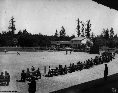Historic Lower Woodland field view