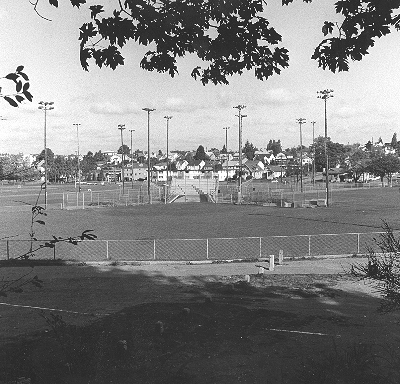 Lower Woodland Field 6 outfield