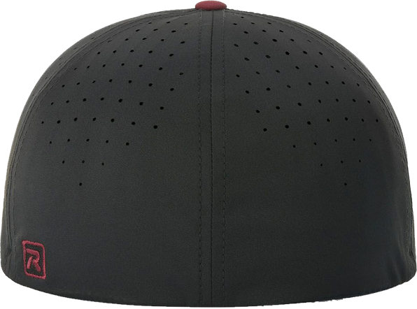 PTS30 flexfit cap back view