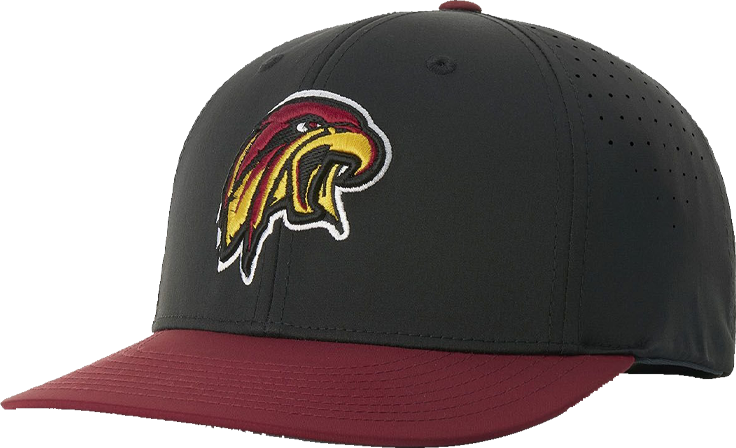 PTS30 flexfit cap front view