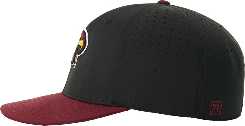 PTS30 flexfit cap left profile